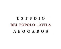 ESTUDIO DEL P�POLO - �VILA
